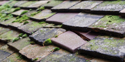 North Fambridge roof repair costs